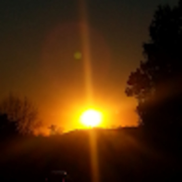 Meet your Posher, Dawn - Picture 1 of 1